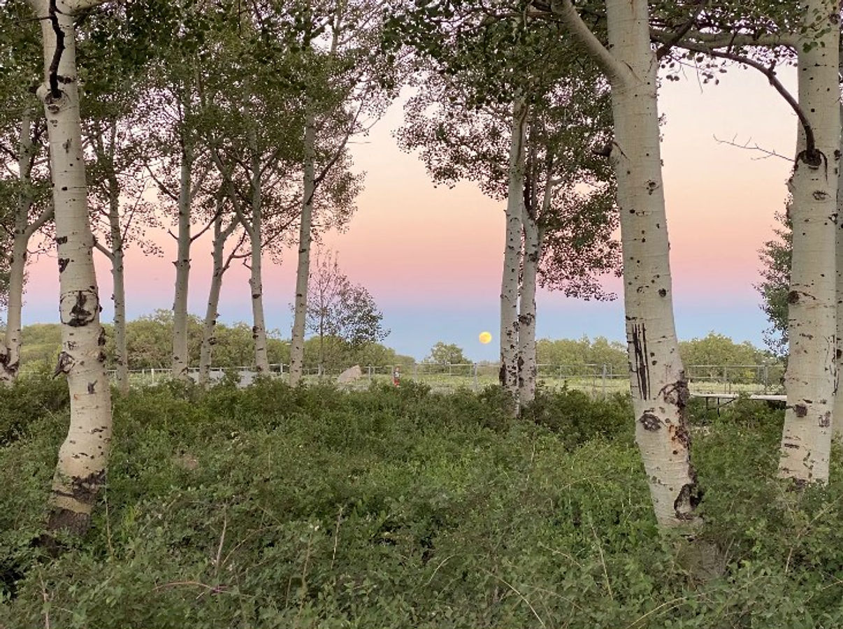 Kolob Campground - Virgin, Utah - glamping.directory