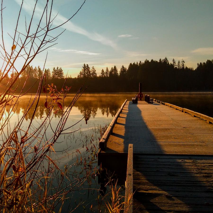 Millersylvania State Park - Olympia, Washington - glamping.directory