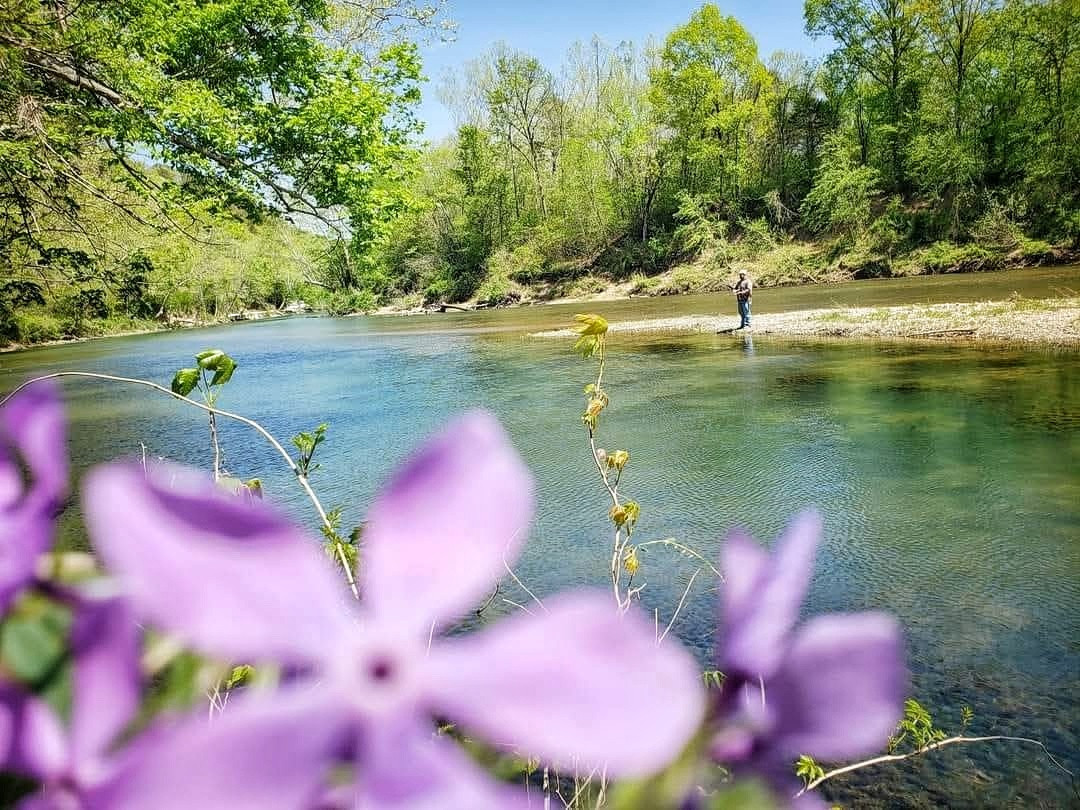 Piney Bend Riverfront - Dixon, Missouri - glamping.directory