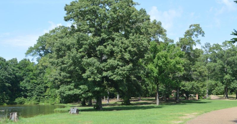 Clear Creek campground - Vicksburg, Mississippi - glamping.directory