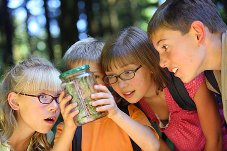 Jim's Camping - Milton, West Virginia - glamping.directory