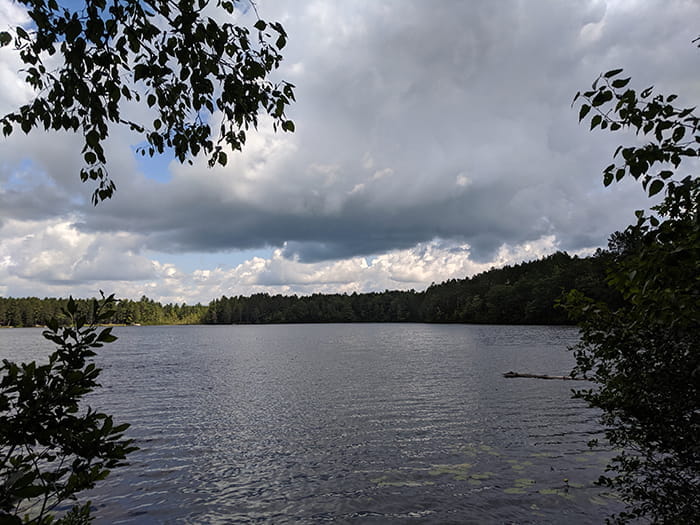 Lake Marjory State Forest Campground - Frederic, Michigan - glamping.directory