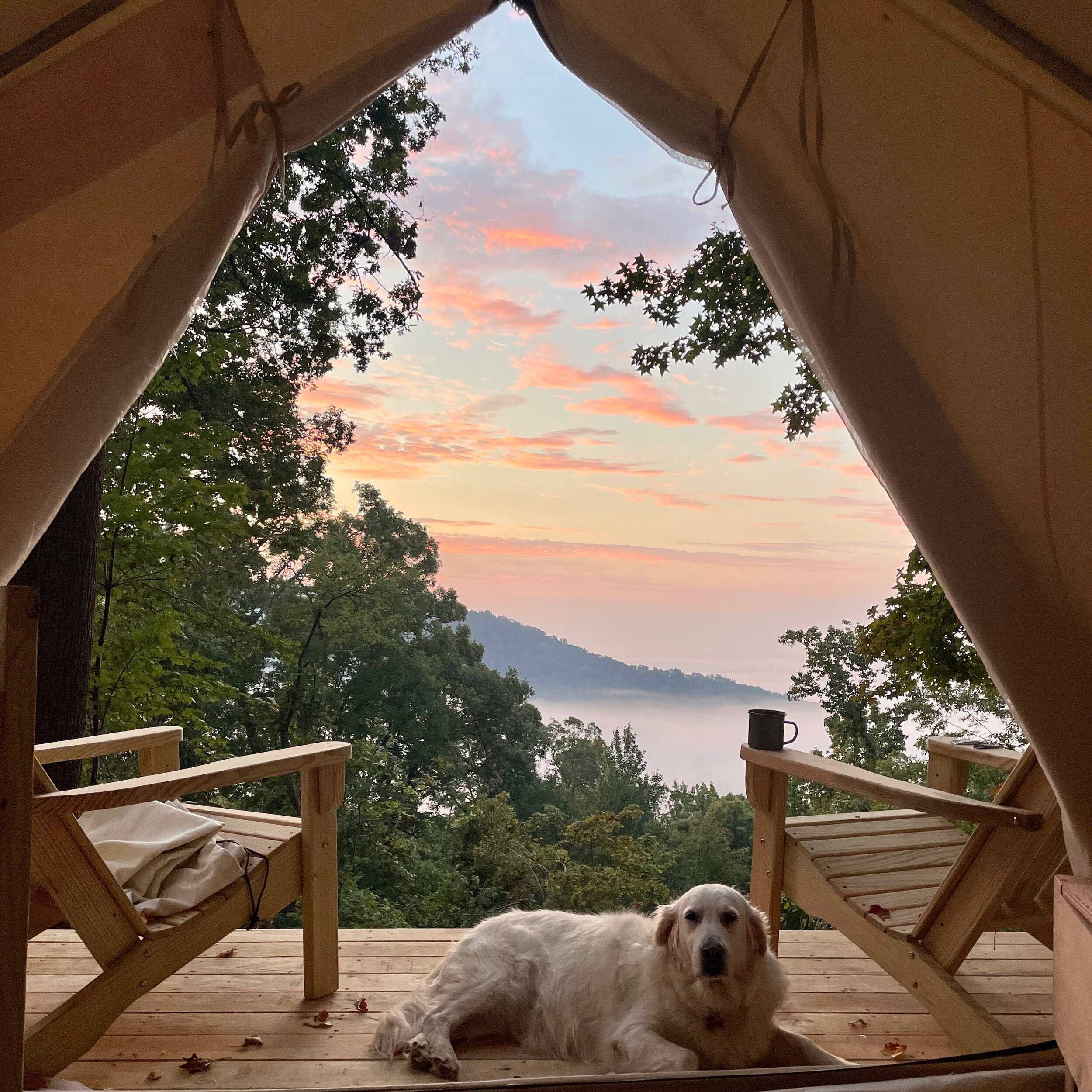 Tryon Glamping - Columbus, North Carolina - glamping.directory