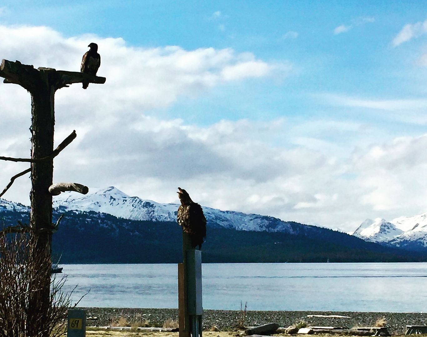 Homer Spit Campground - Homer, Alaska - glamping.directory
