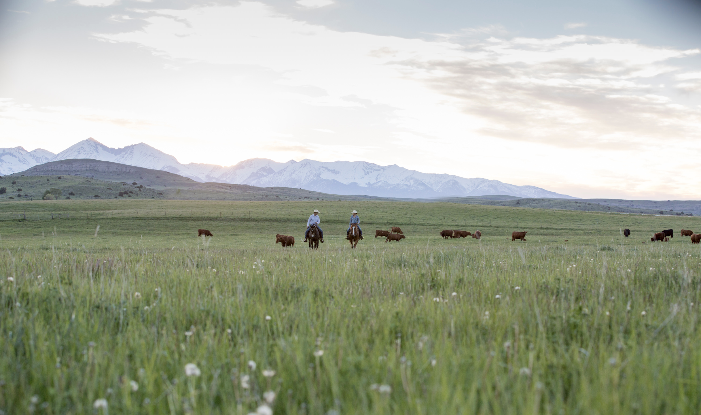 Wide Sky Adventures - Big Timber, Montana - glamping.directory