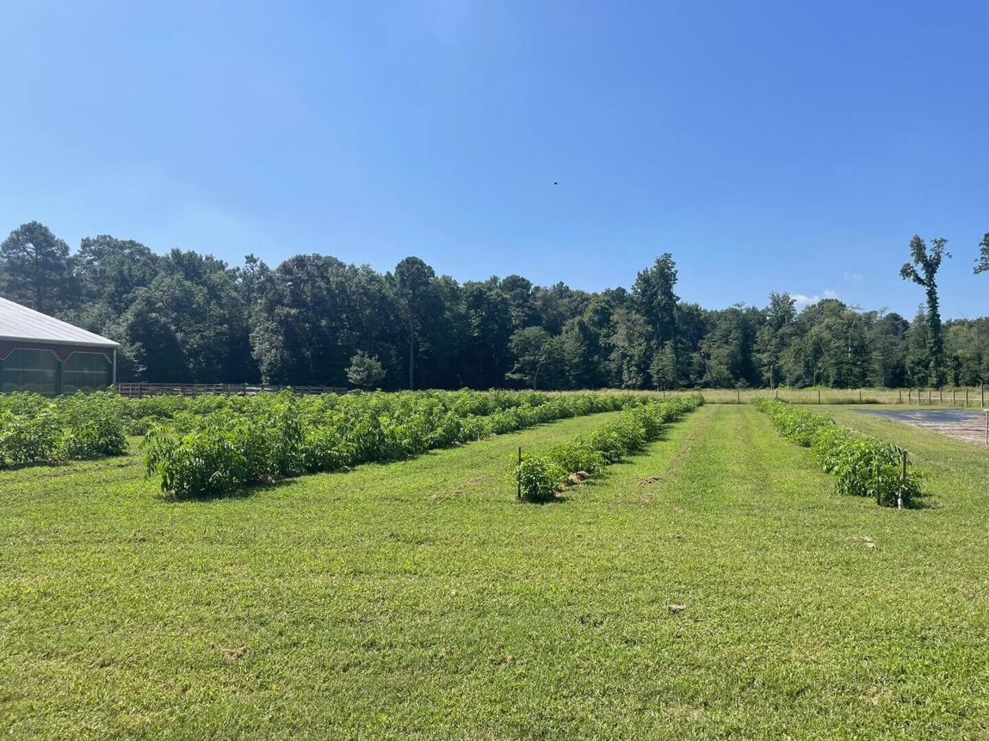 Adventures Await Retreat & Meadery/ Winery - Houston, Delaware - glamping.directory