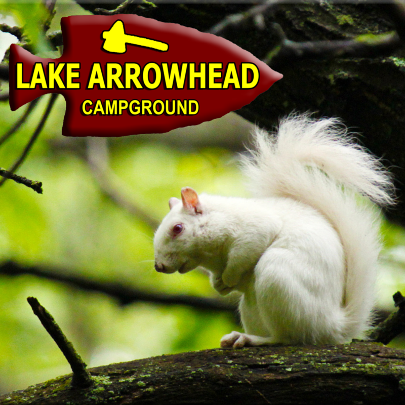 Lake Arrowhead Campground - Montello, Wisconsin - glamping.directory