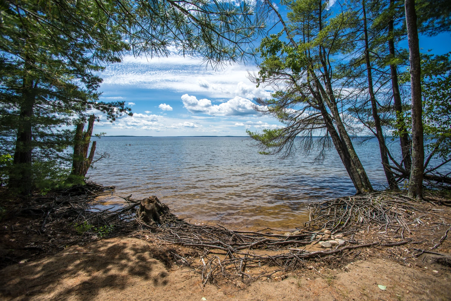 Family & Friends Campground - Standish, Maine - glamping.directory