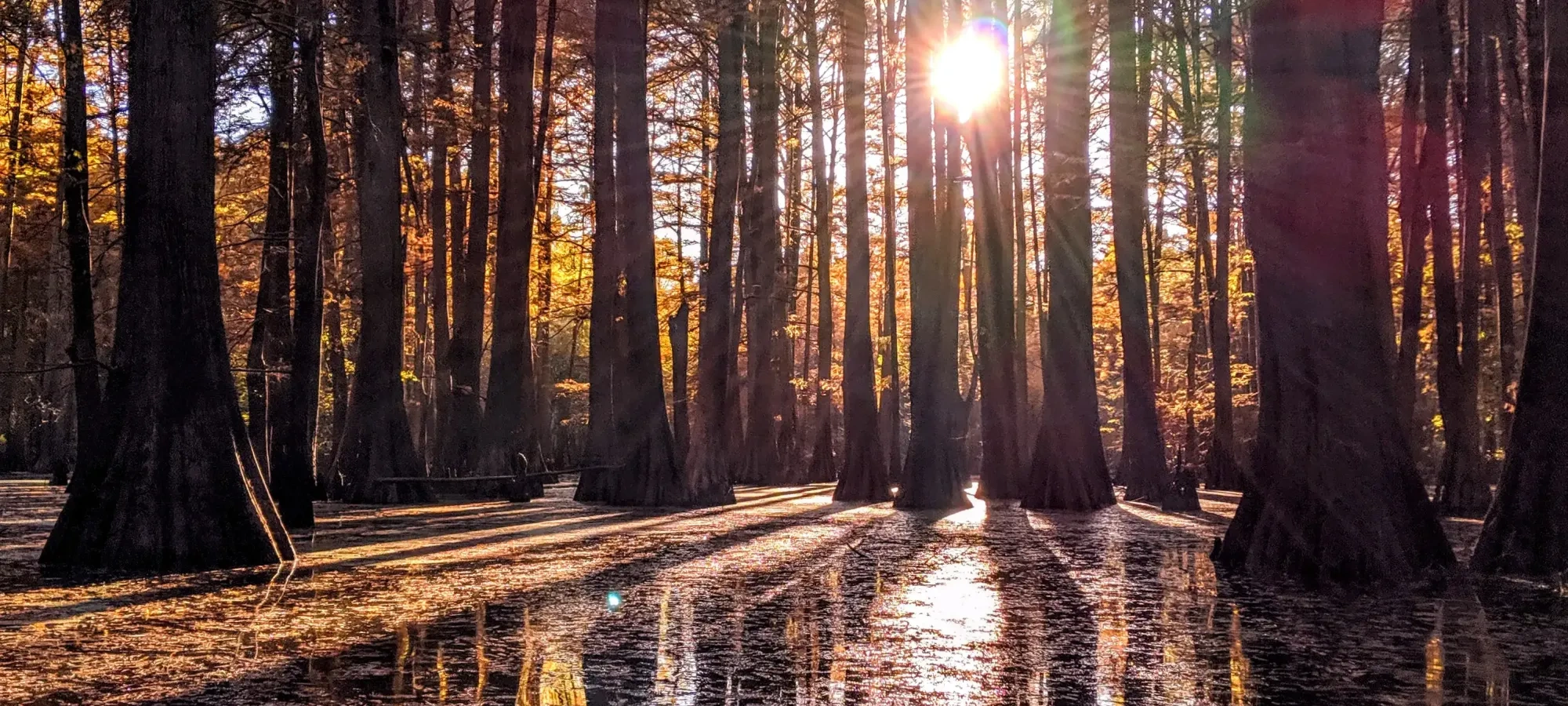 Piersol Group Camp - Millington, Tennessee - glamping.directory