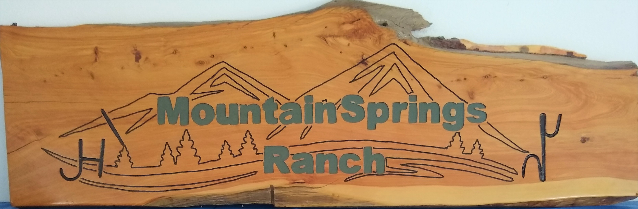Mountain Springs Ranch RV Park - Carrizozo, New Mexico - glamping.directory