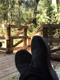 The Casa Estiva- A Restful Getaway in the Forest in Weatherford, TX - Weatherford, Texas - glamping.directory