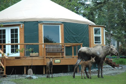 Alaskan Yurt with Amazing Views of Kachemak Bay - Homer, Alaska - glamping.directory