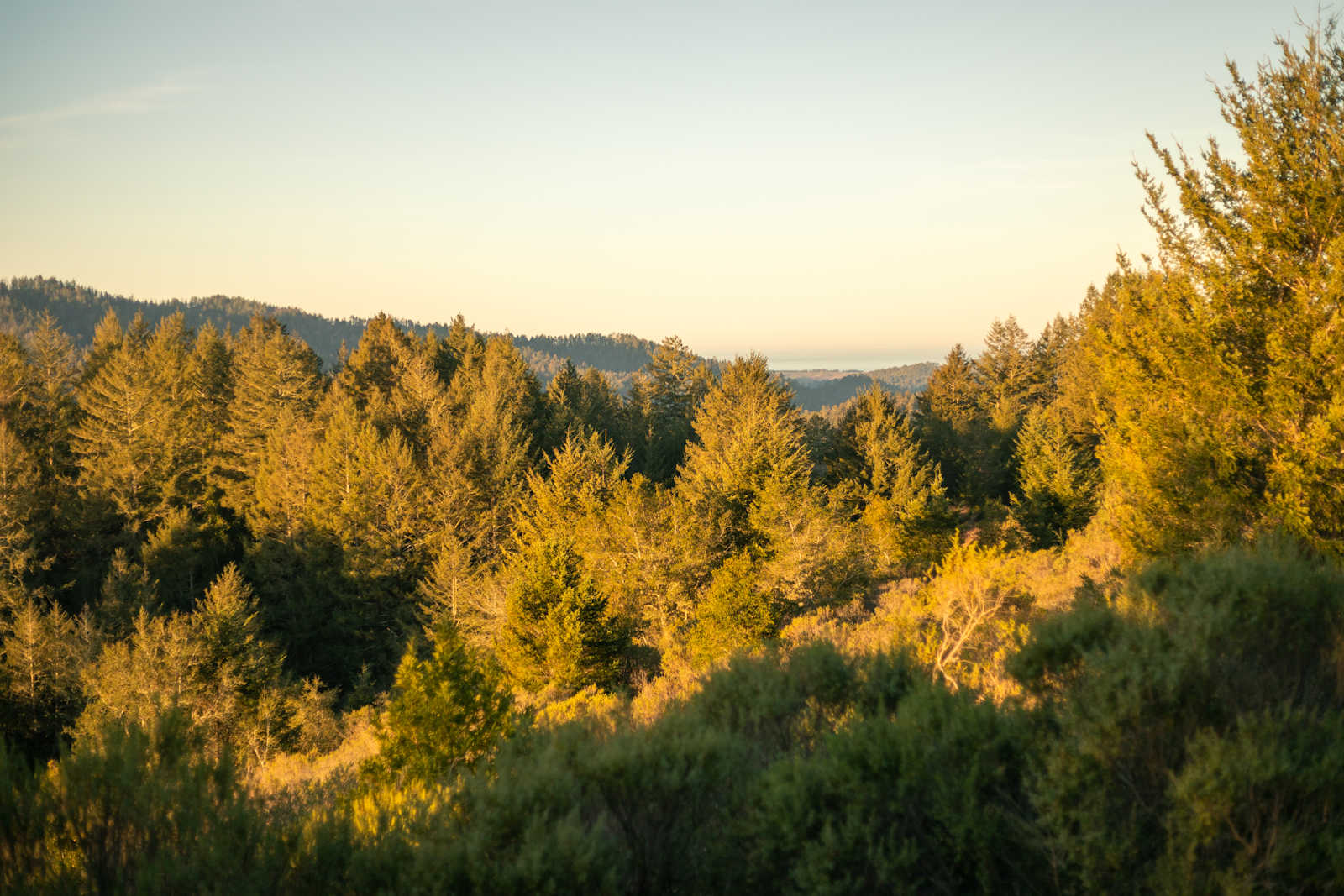 Audrey Edna Cabin at Alpine Ranch - Loma Mar, California - glamping.directory
