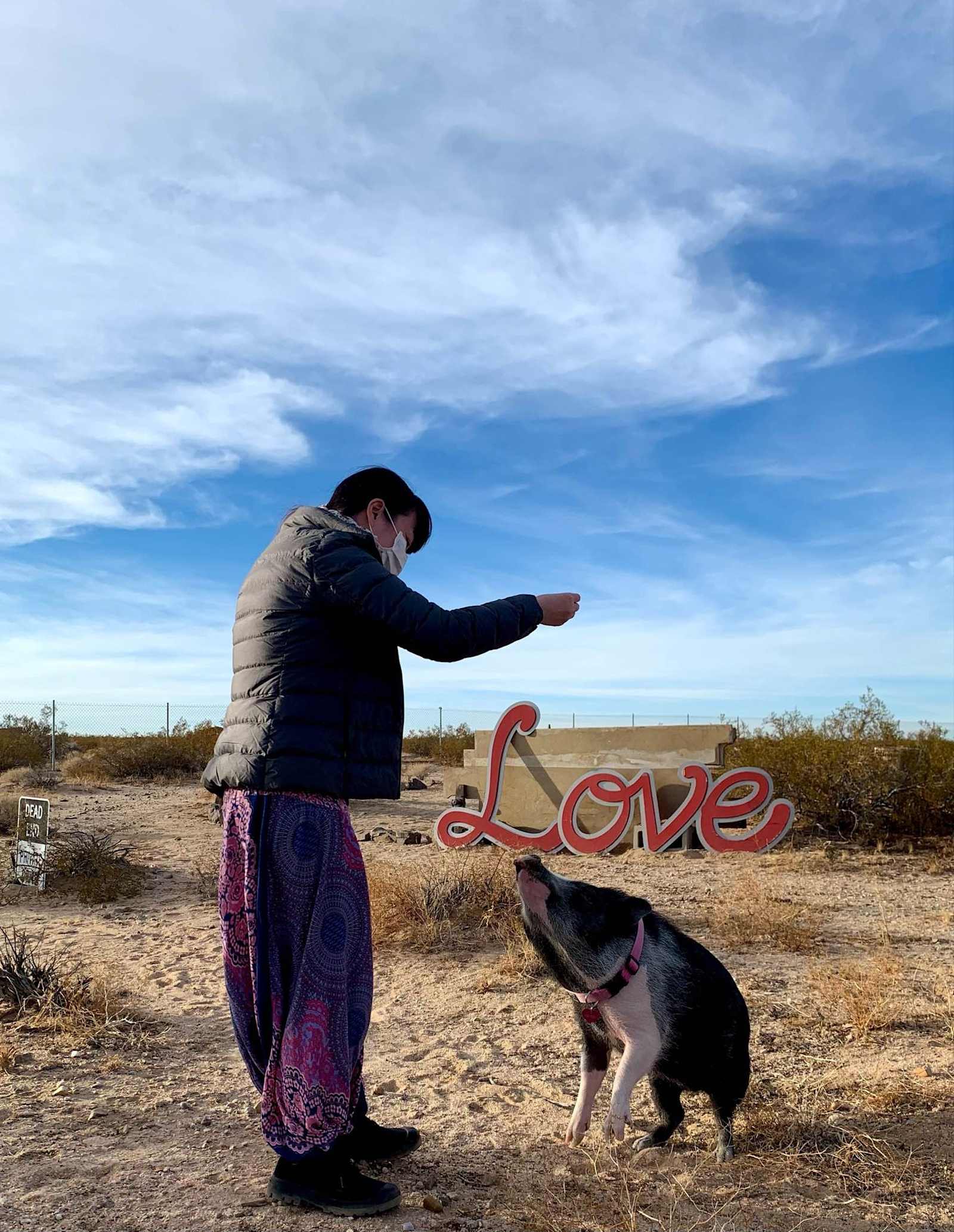Tammy Reeves - Joshua Tree, California - glamping.directory