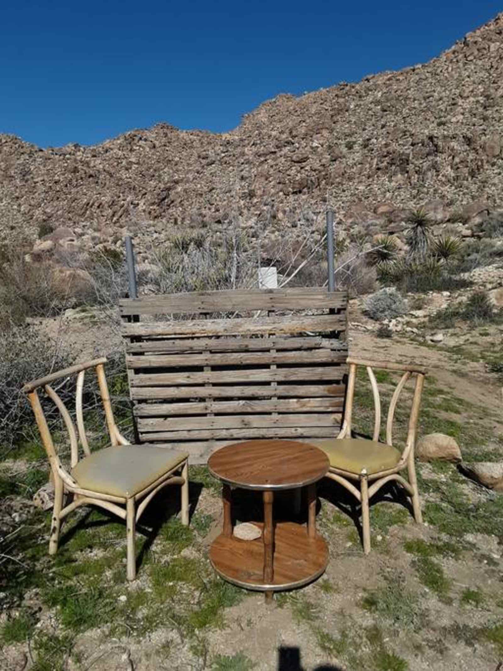 Tammy Reeves - Joshua Tree, California - glamping.directory