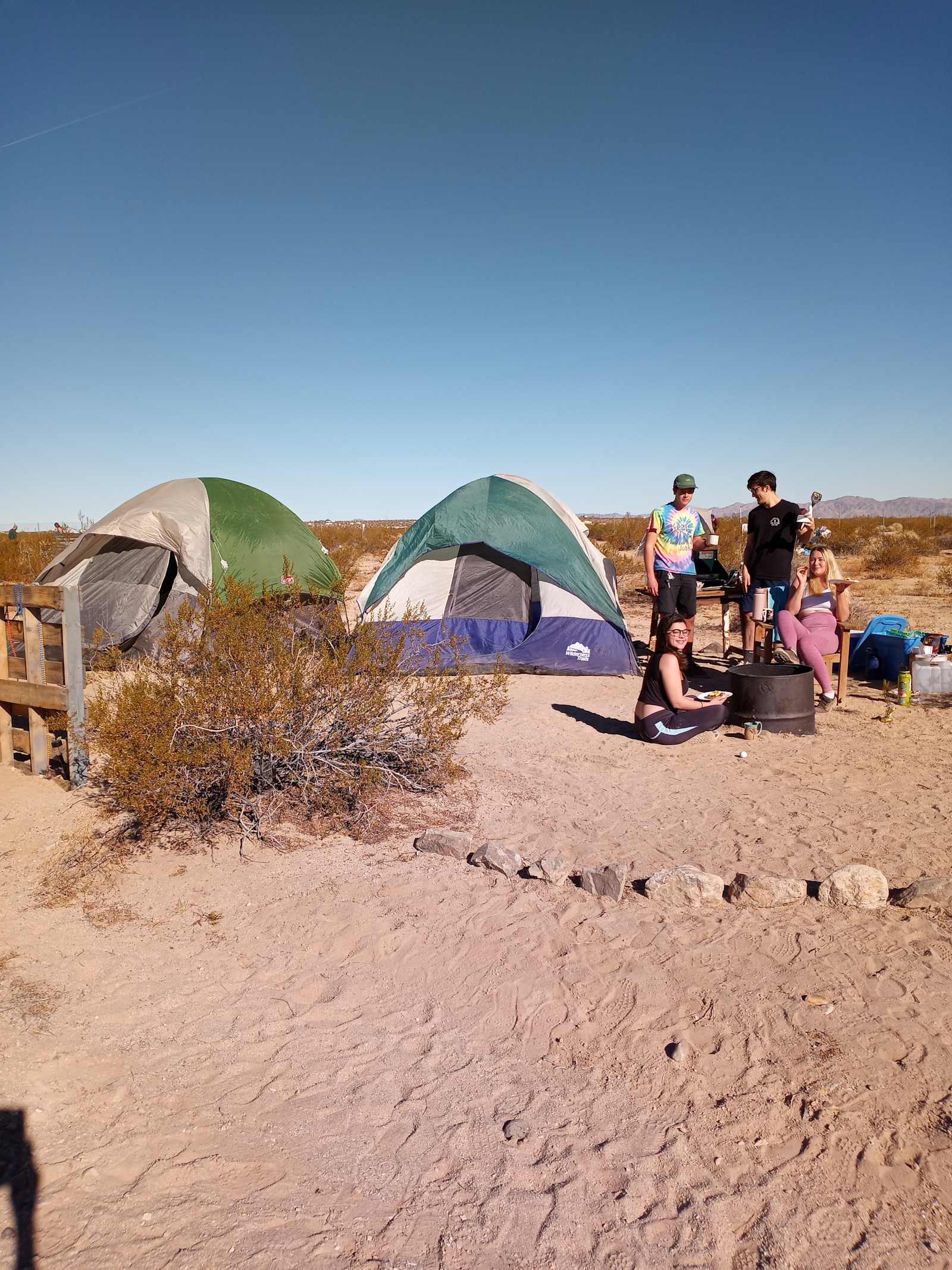 Tammy Reeves - Joshua Tree, California - glamping.directory