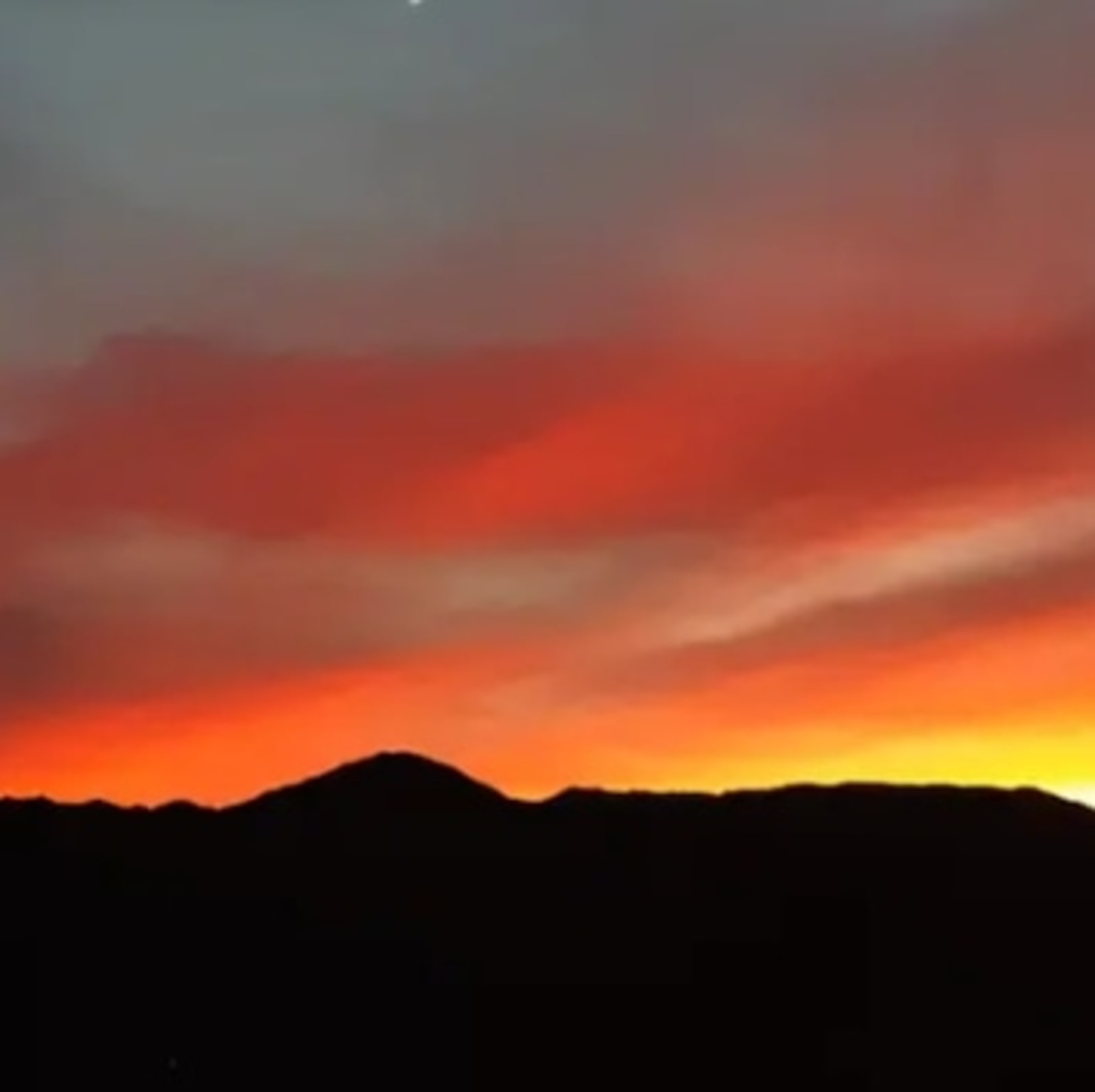 Tammy Reeves - Joshua Tree, California - glamping.directory
