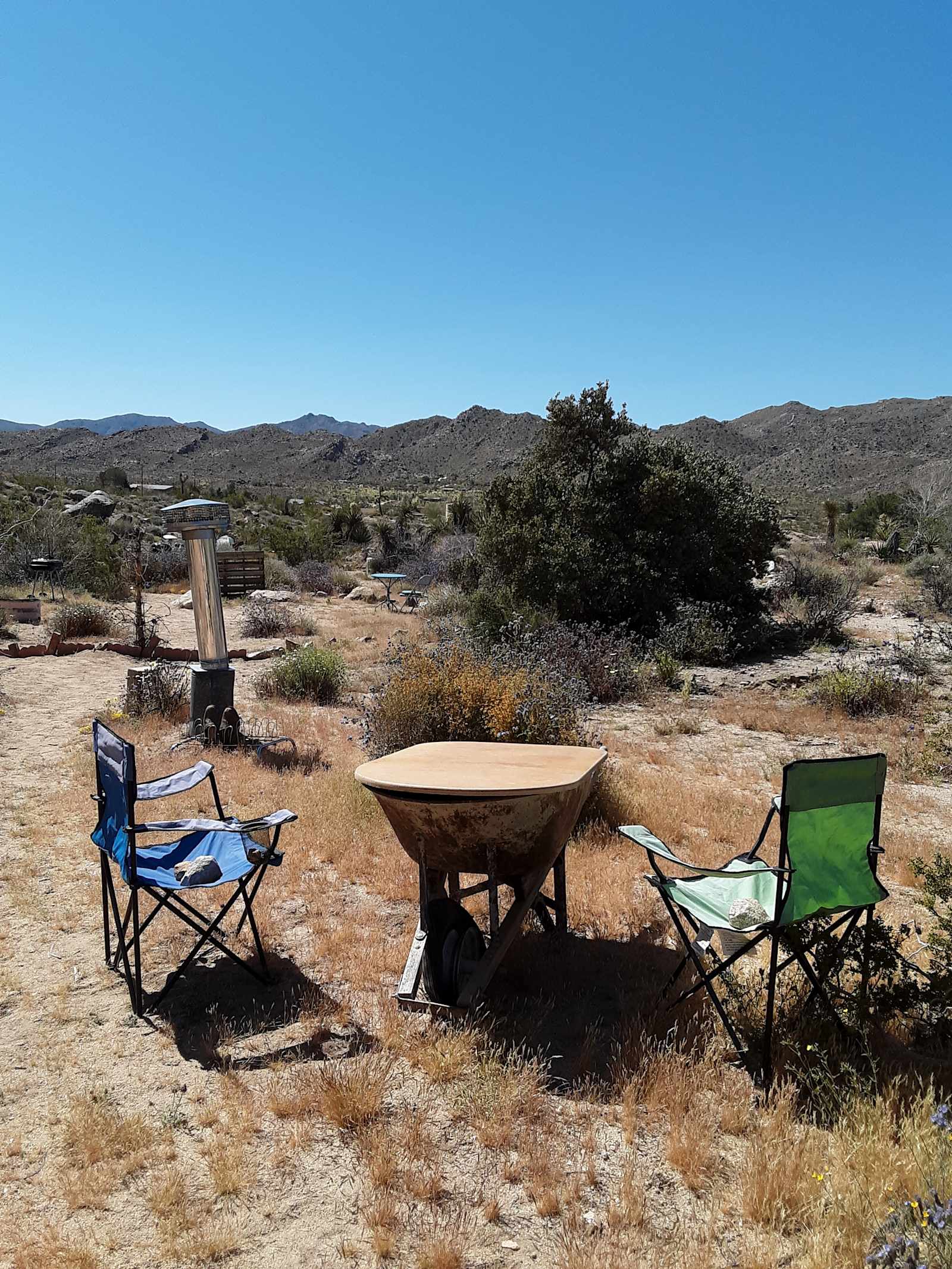 Tammy Reeves - Joshua Tree, California - glamping.directory