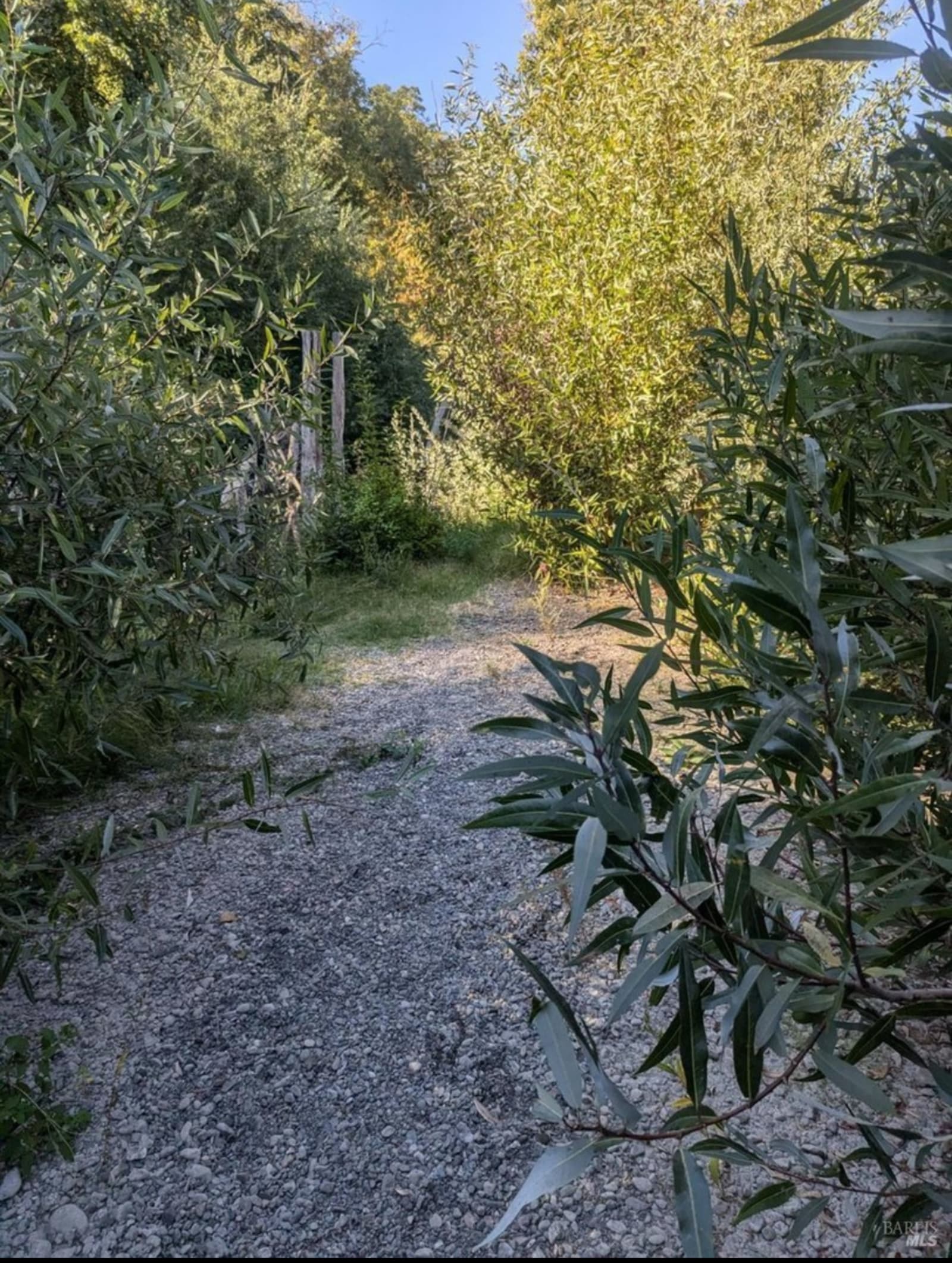 Private Island On The Russian River - Forestville, California - glamping.directory