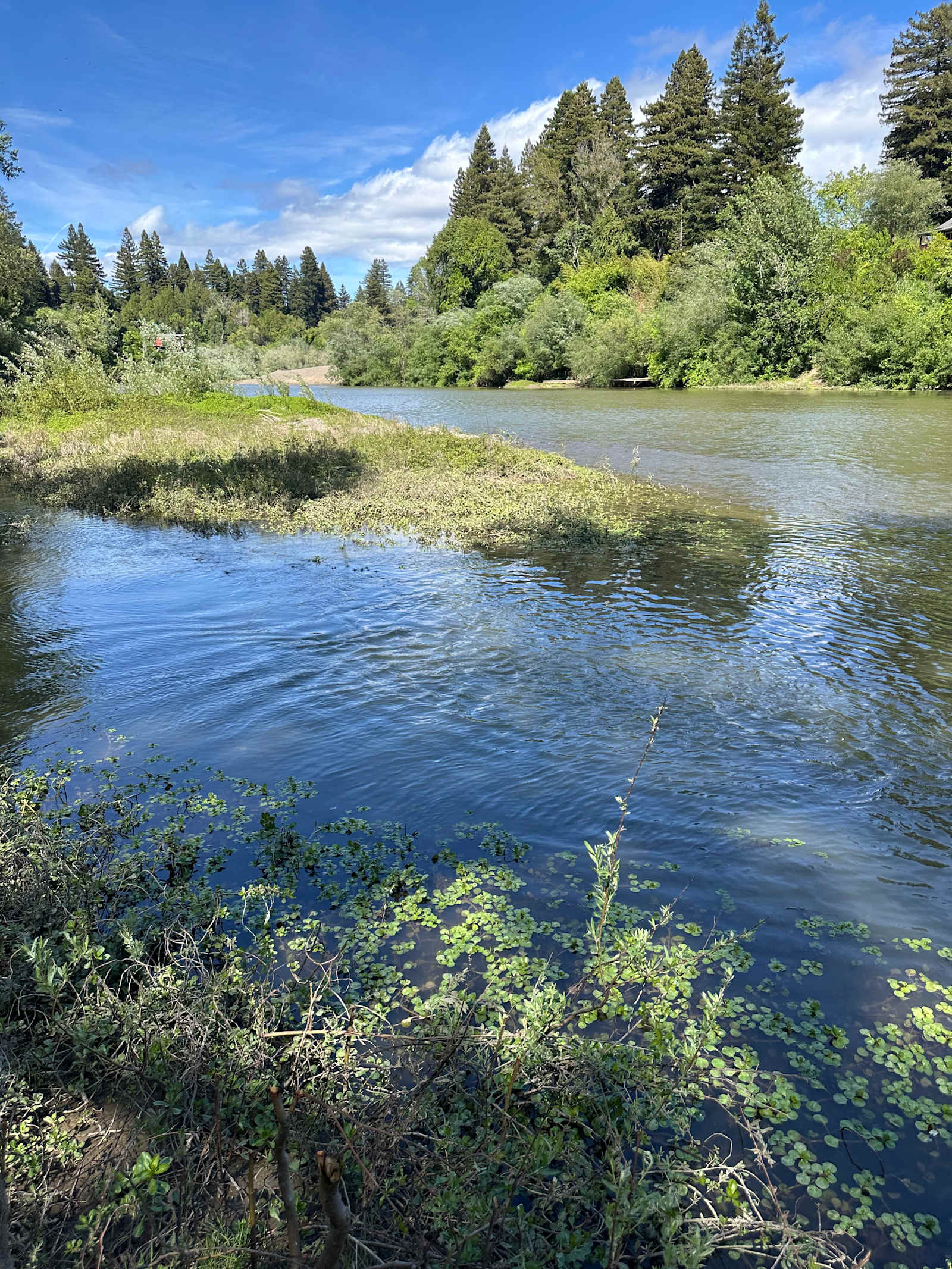Private Island On The Russian River - Forestville, California - glamping.directory