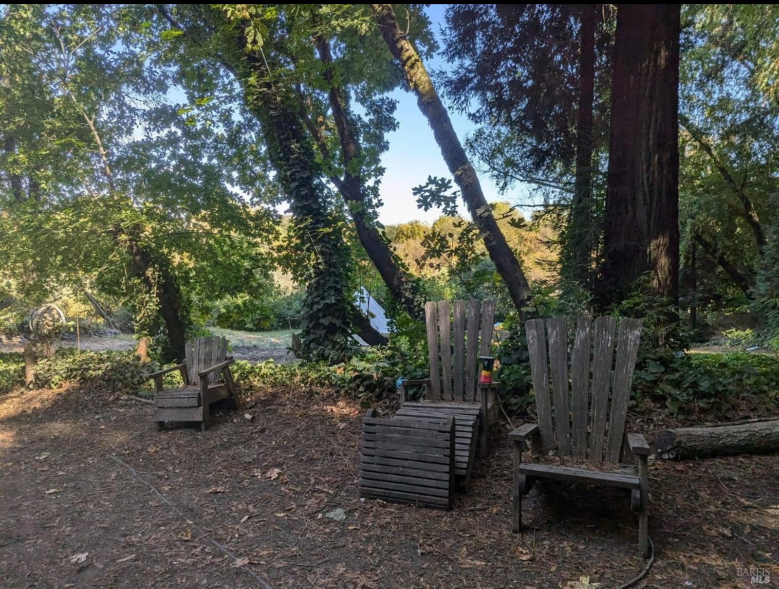 Private Island On The Russian River - Forestville, California - glamping.directory
