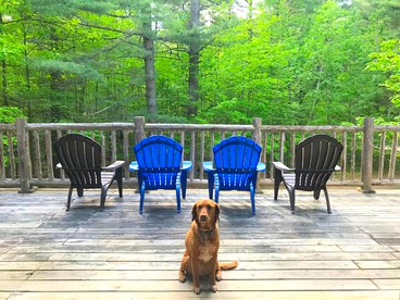 Dog-Friendly Chalet Rental near Whiteface Mountain and Lake Placid, New York - Jay, New York - glamping.directory