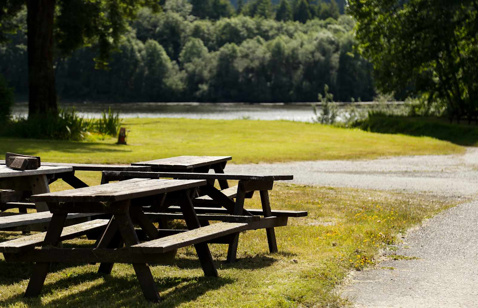 Redwood RV Park - Klamath, California - glamping.directory