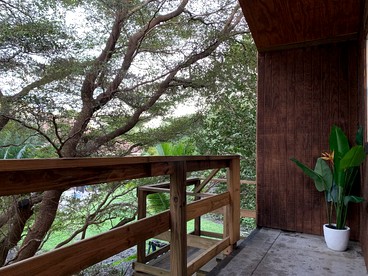 Modern Treehouse Rental with Pool for Glamping in Florida - Palm Beach Gardens, Florida - glamping.directory
