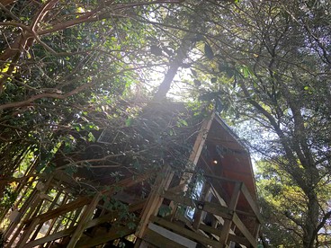 Modern Treehouse Rental with Pool for Glamping in Florida - Palm Beach Gardens, Florida - glamping.directory