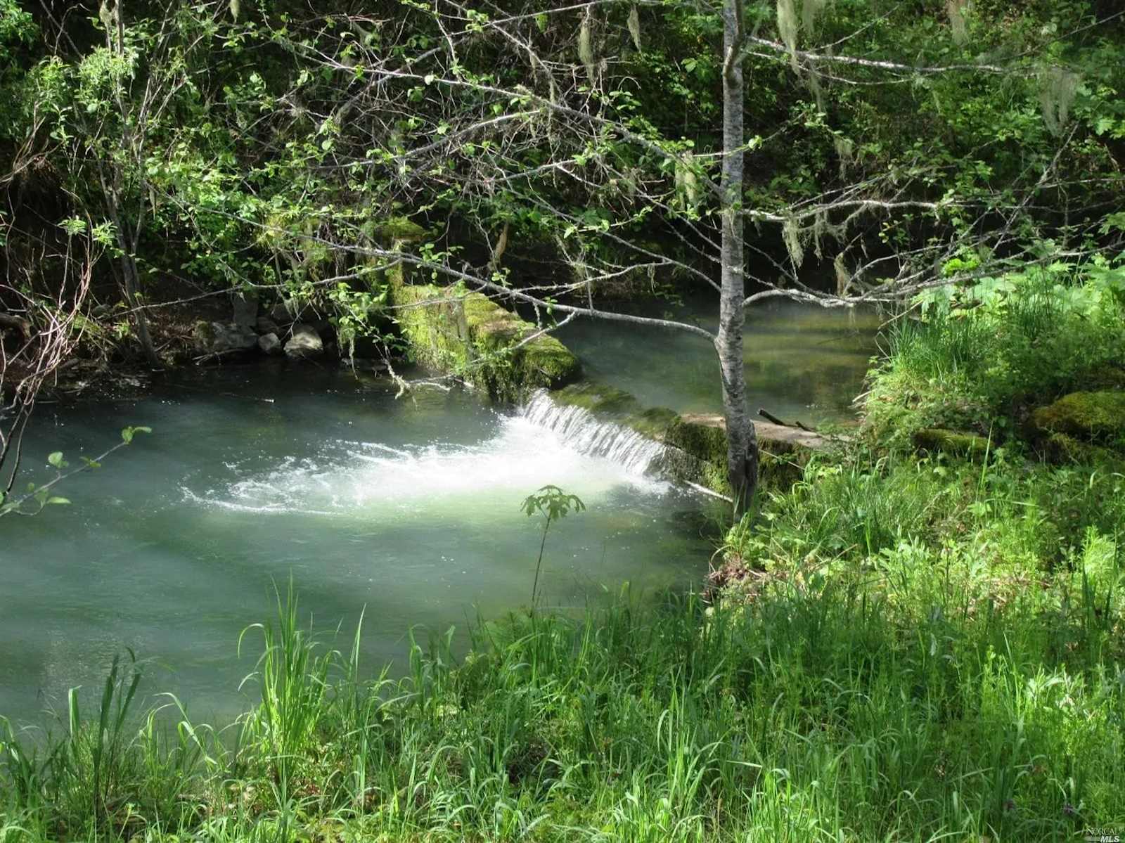 Primal Lands at OZ Family Farm - Willits, California - glamping.directory