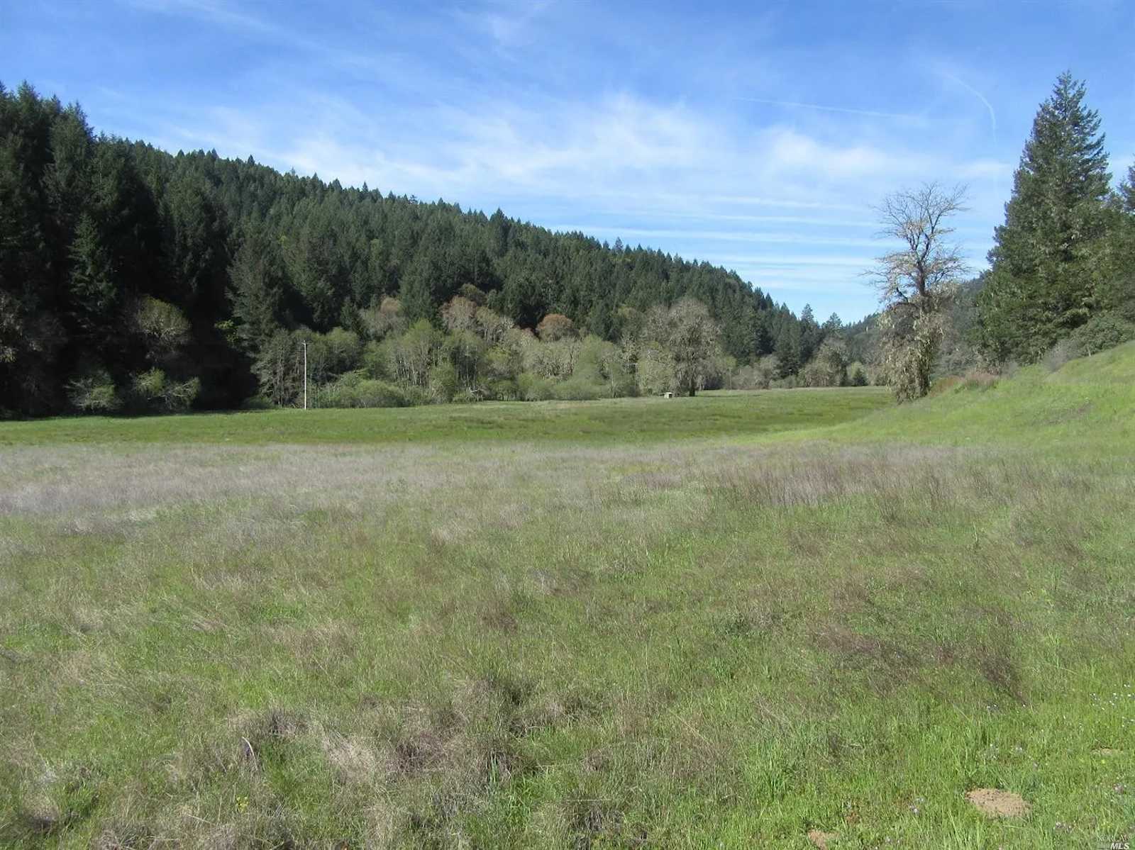 Primal Lands at OZ Family Farm - Willits, California - glamping.directory