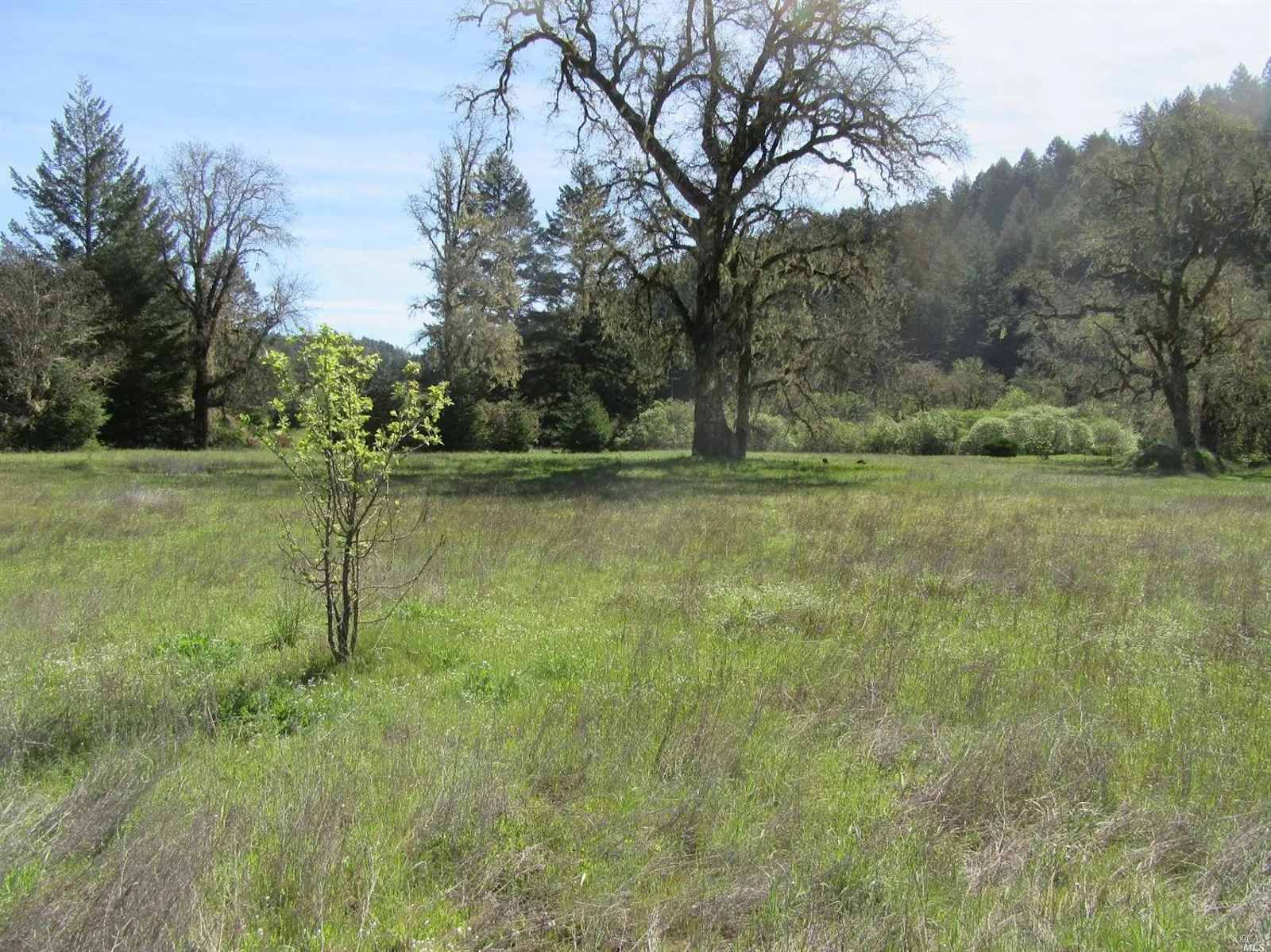 Primal Lands at OZ Family Farm - Willits, California - glamping.directory