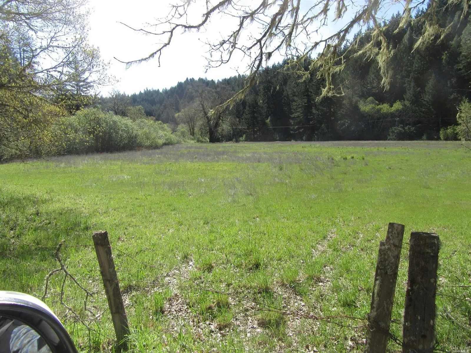 Primal Lands at OZ Family Farm - Willits, California - glamping.directory