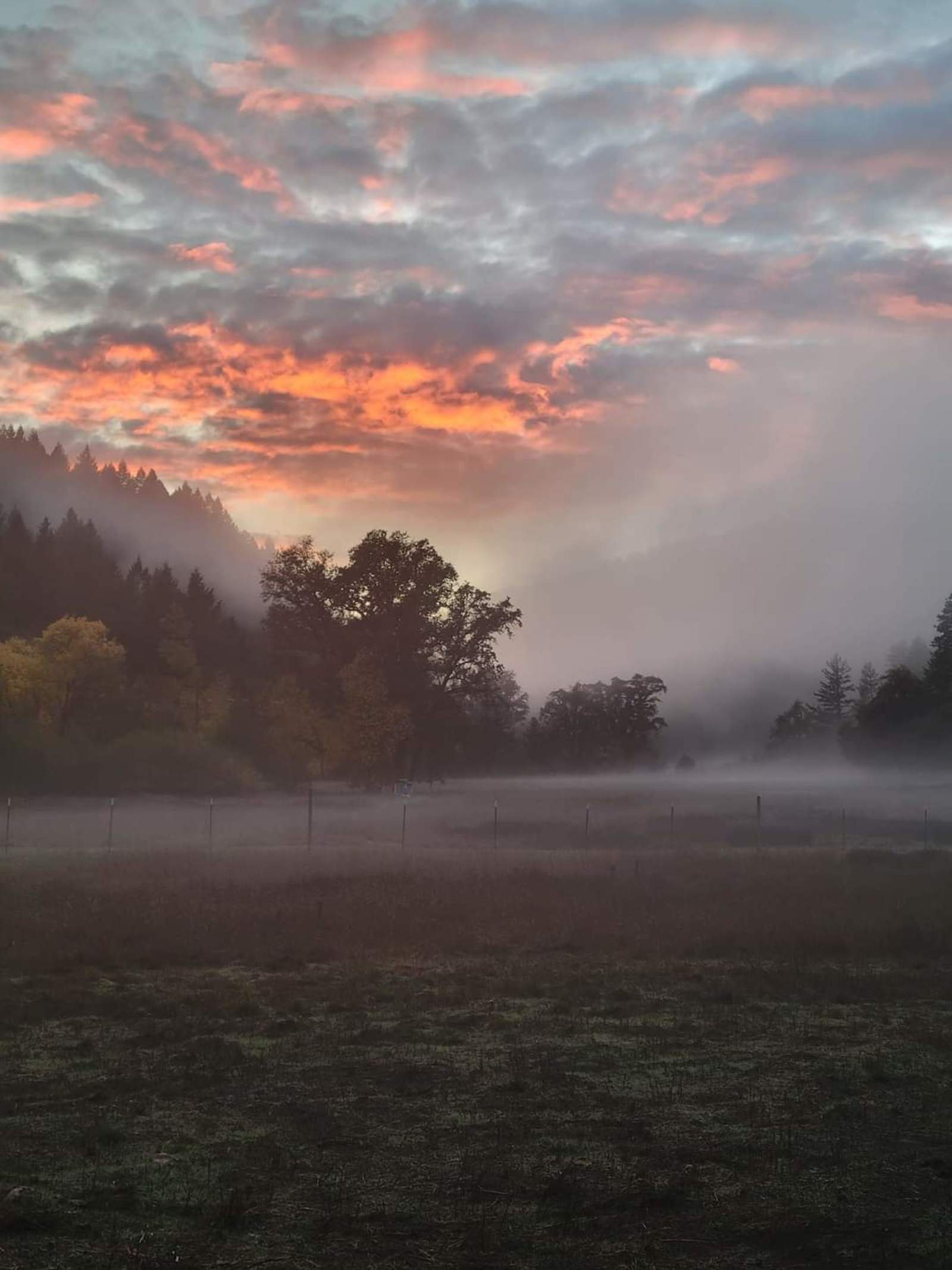 Primal Lands at OZ Family Farm - glamping.directory