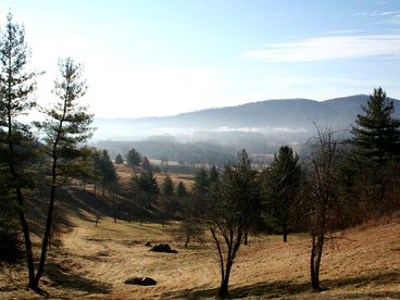 Secluded Log Cabin with Two Ponds in the Blue Ridge Mountains of Virginia - Elk Creek, Virginia - glamping.directory