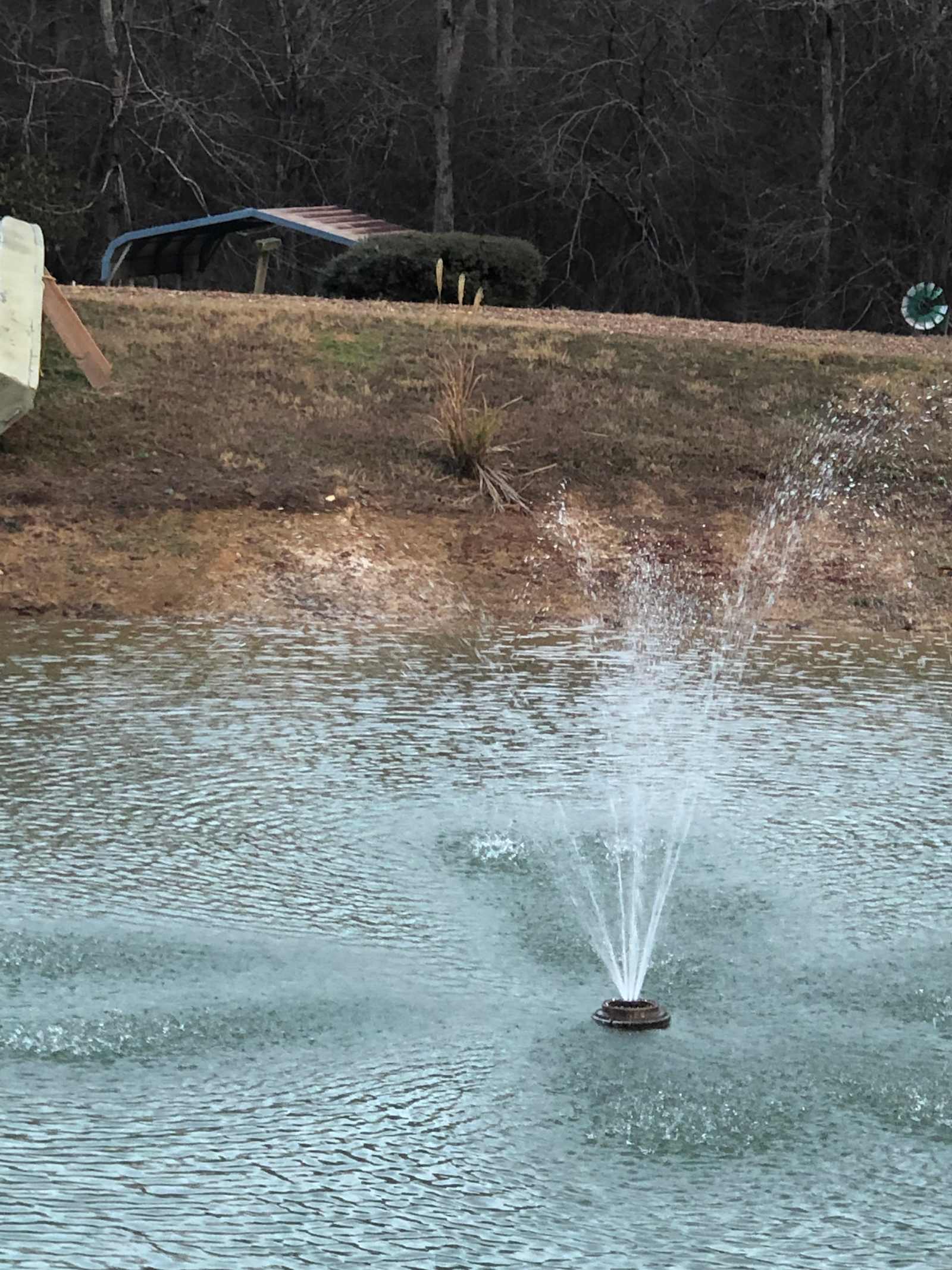 Fishers Pond at the Treehouse - Little Rock, Arkansas - glamping.directory