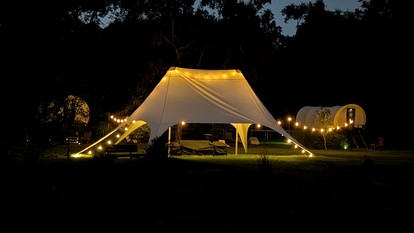 Luxury Highland Cow Glamping in Cozy Covered Wagon with Peaceful Farm Retreat in Melrose, Florida - Melrose, Florida - glamping.directory