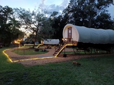 Luxury Highland Cow Glamping in Cozy Covered Wagon with Peaceful Farm Retreat in Melrose, Florida - glamping.directory