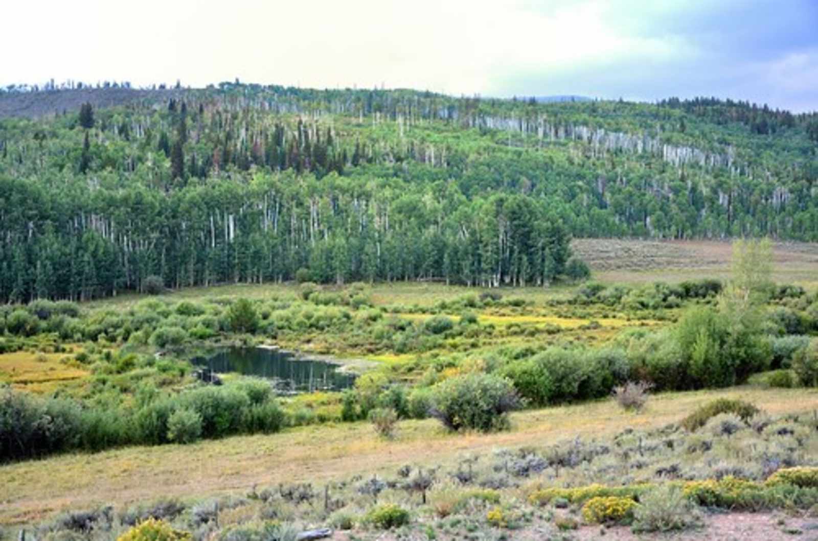 22 West Cabins & Recreation - glamping.directory