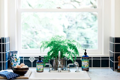 Idyllic Cottage on Organic Farm near Silver Falls State Park, Silverton, Oregon - Silverton, Oregon - glamping.directory