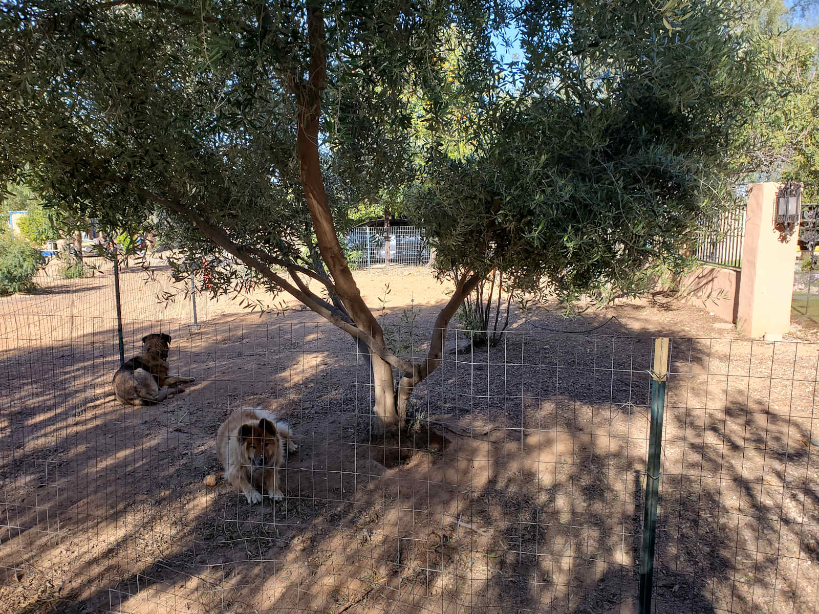 Double H Hacienda - Tucson, Arizona - glamping.directory
