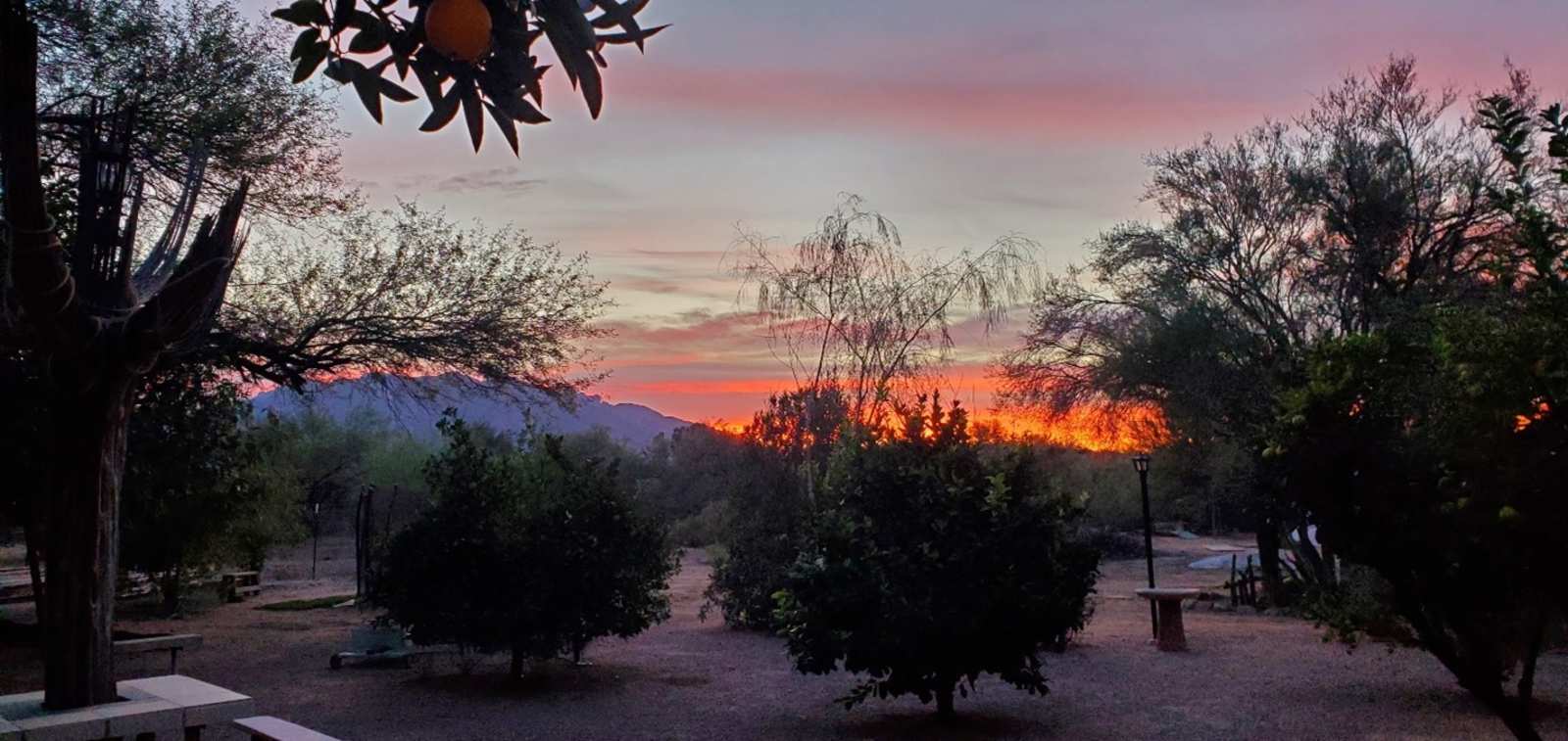 Double H Hacienda - Tucson, Arizona - glamping.directory