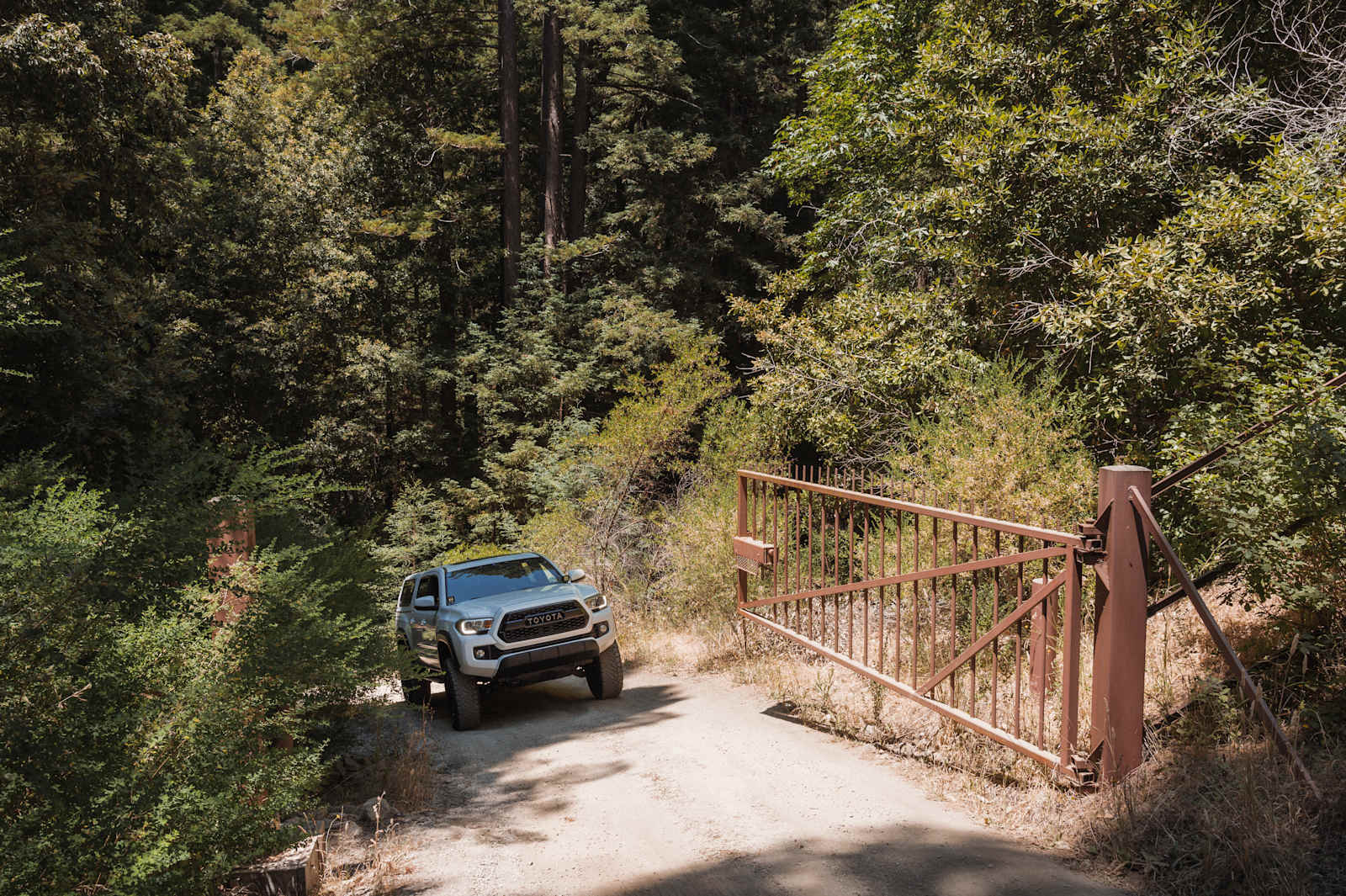 Blooming Echo private redwood oasis - Boulder Creek, California - glamping.directory
