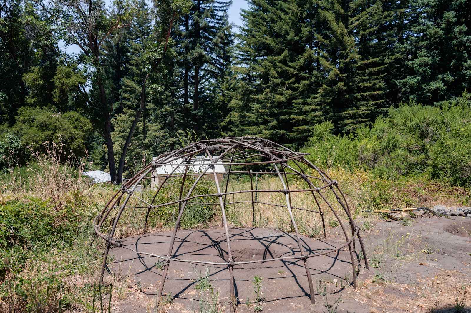 Blooming Echo private redwood oasis - Boulder Creek, California - glamping.directory