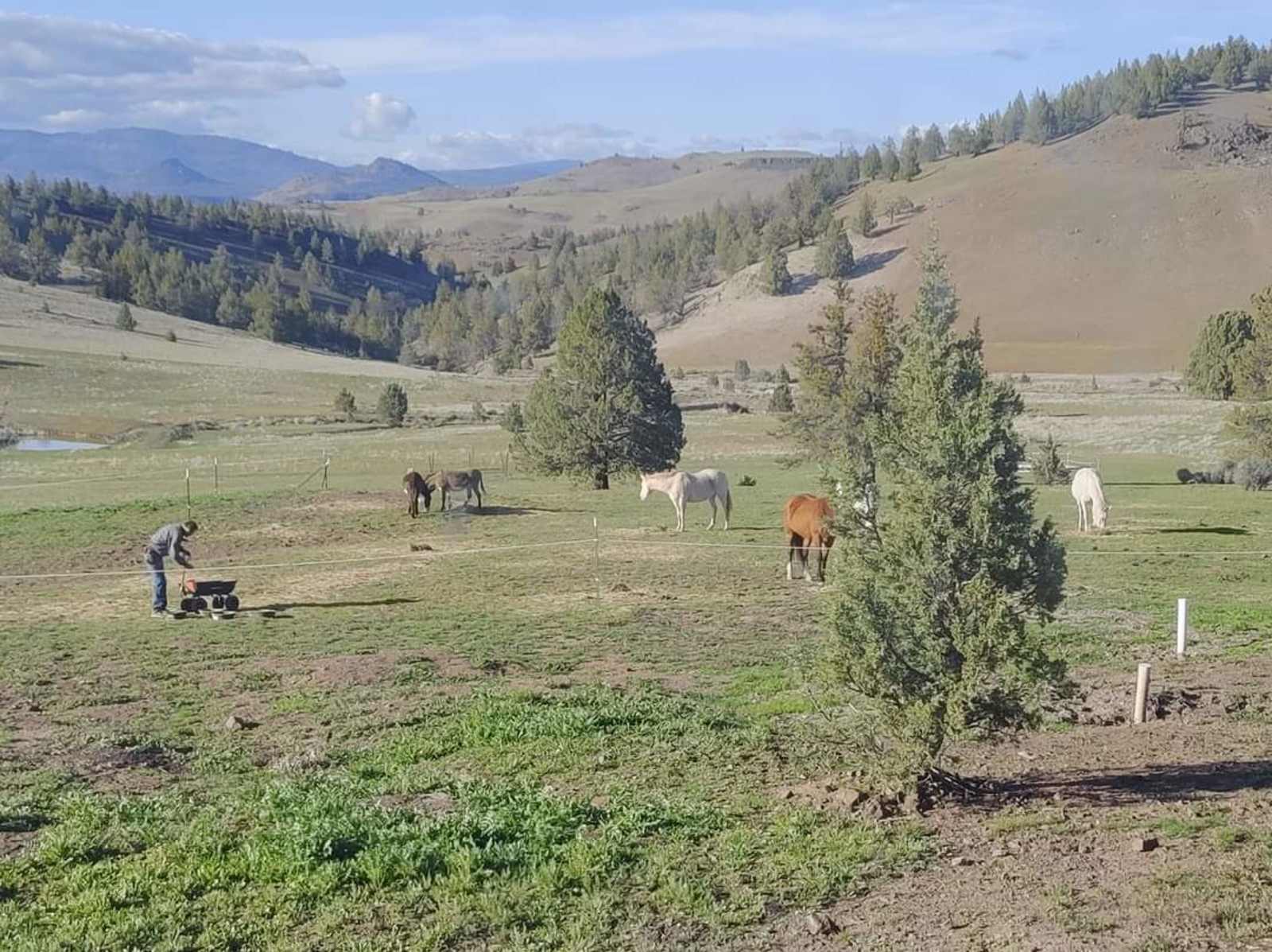 Shasta Valley Horse Ranch Adventure - Montague, California - glamping.directory
