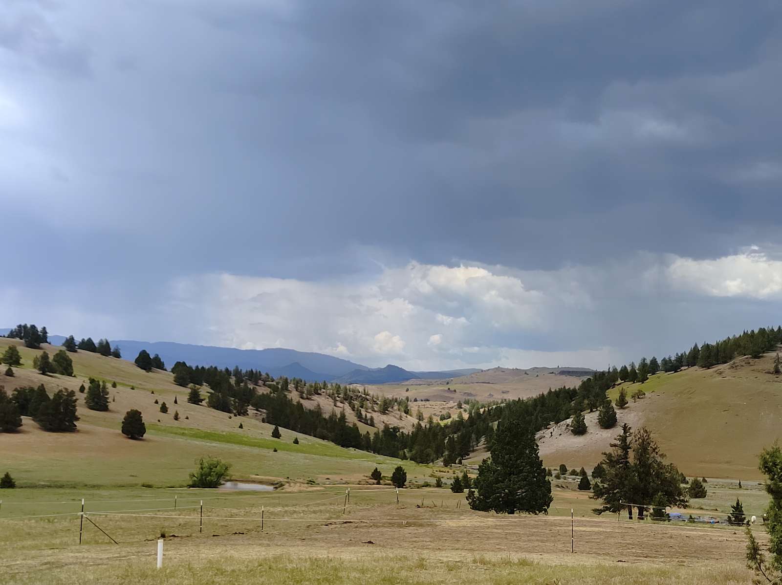 Shasta Valley Horse Ranch Adventure - glamping.directory