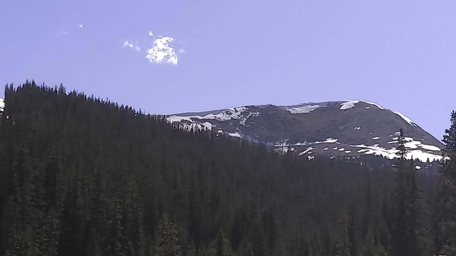Cumberland High Alpine Campsites! - Pitkin, Colorado - glamping.directory