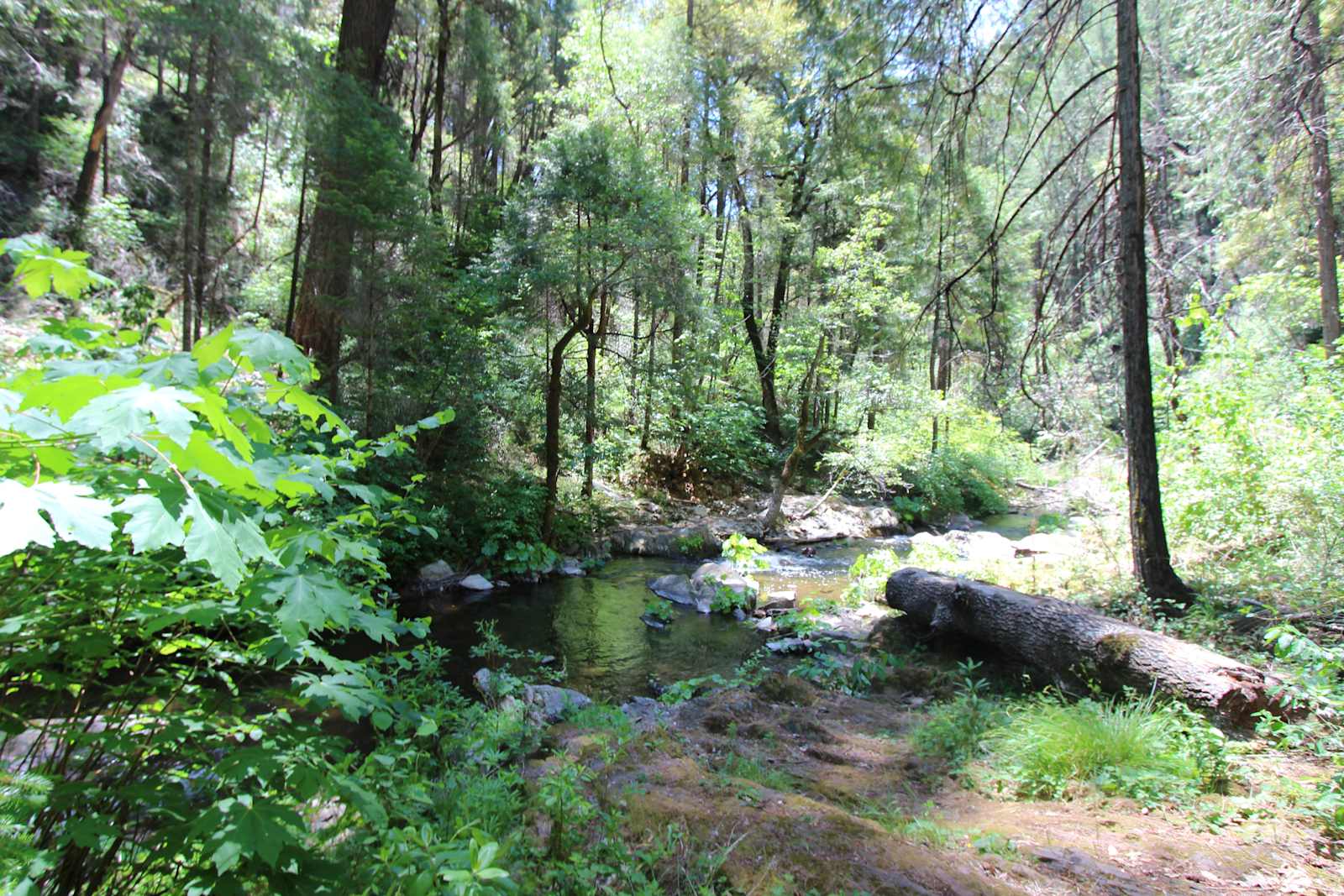 160 Acres amidst National Forest - Placerville, California - glamping.directory