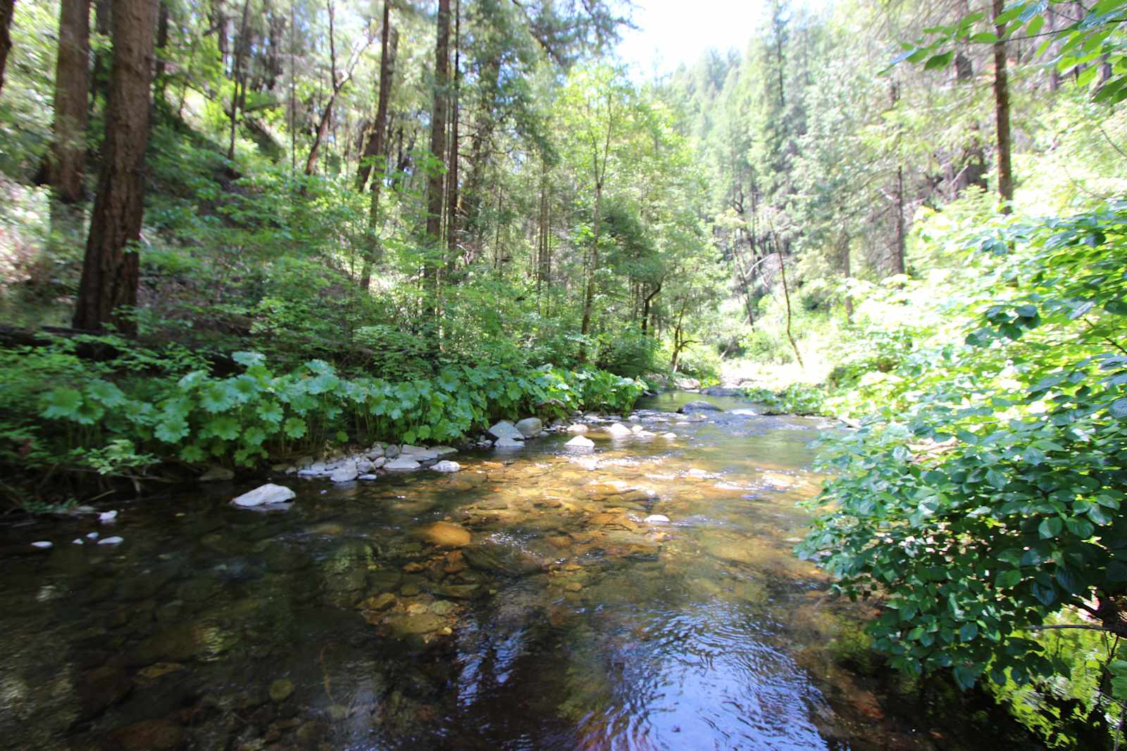 160 Acres amidst National Forest - Placerville, California - glamping.directory