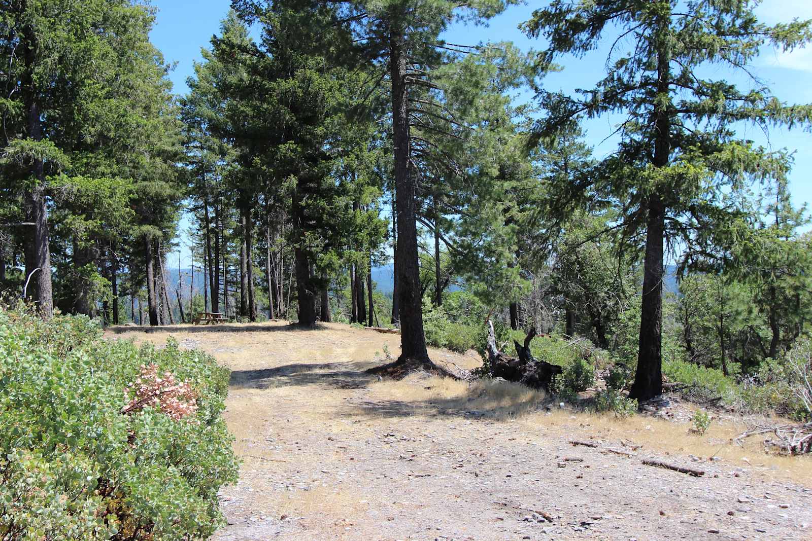 160 Acres amidst National Forest - Placerville, California - glamping.directory
